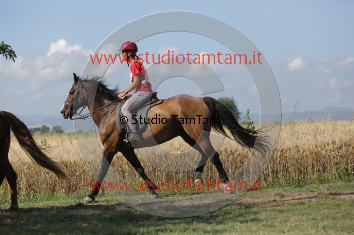 MAT_2315.JPG