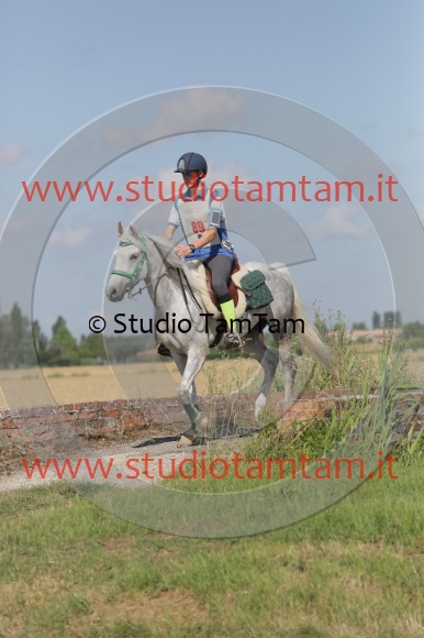 MAT_2351.JPG