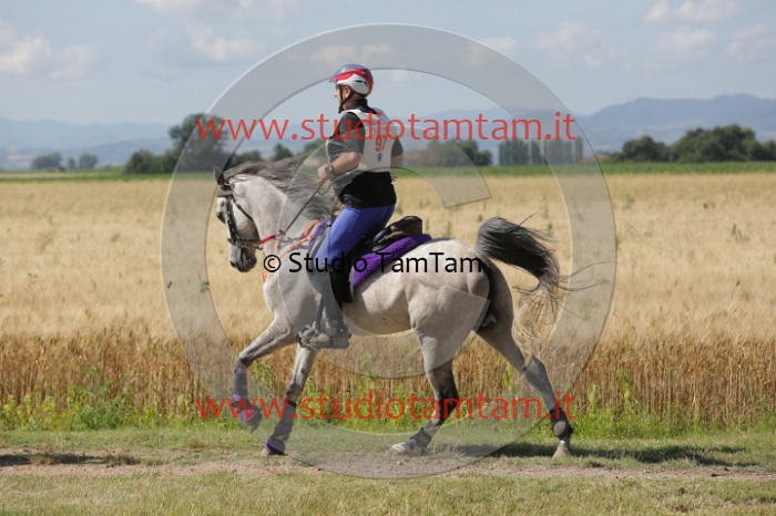 MAT_2509.JPG