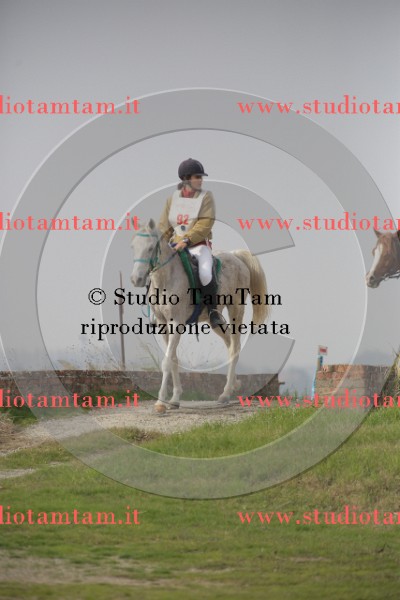 MAT_9668.JPG