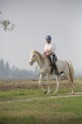MAT_9685