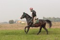 IMGB6731
