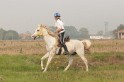 IMGB6797