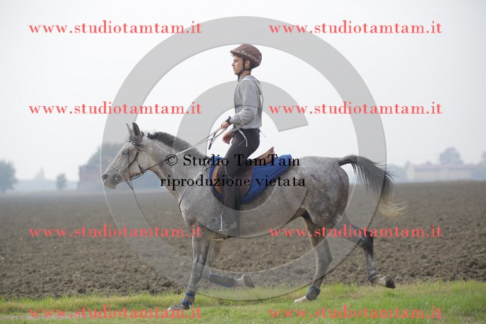 MAT_9480.JPG