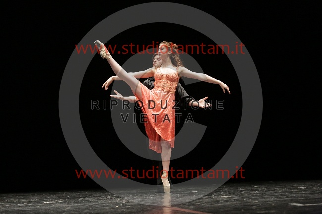 MAT_0146.JPG