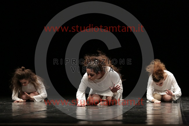 MAT_0550.JPG