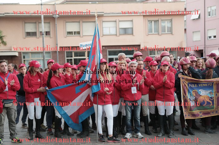 MAT_8595.JPG