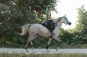 IMGB1365
