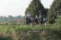 MAT_1172