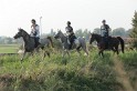 MAT_1175