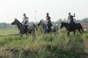 MAT_1176