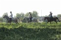 MAT_1177