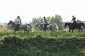 MAT_1178