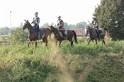 MAT_1184