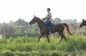MAT_1187