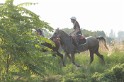 MAT_1194