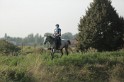 MAT_1195