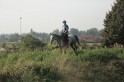 MAT_1197