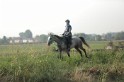MAT_1199