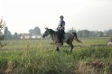 MAT_1200