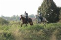 MAT_1208