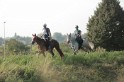 MAT_1210