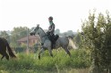MAT_1213
