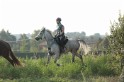 MAT_1214