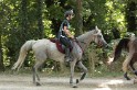 MAT_1743
