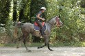 MAT_1773