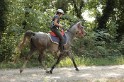 MAT_1776