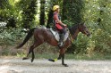 MAT_1782