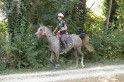 MAT_2182