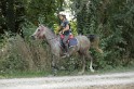 MAT_2184