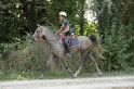 MAT_2185