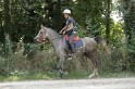 MAT_2186