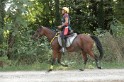 MAT_2193