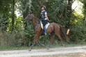 MAT_2196