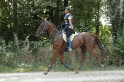MAT_2199
