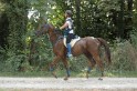 MAT_2201