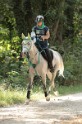 MAT_2228