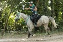 MAT_2236
