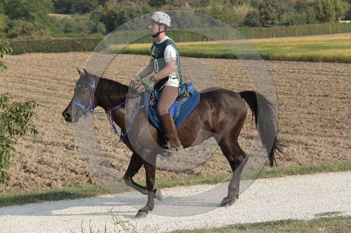 MAT_1161.JPG