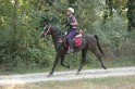 MAT_1444