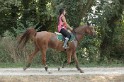 MAT_2225