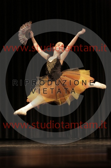 MAT_8488.JPG