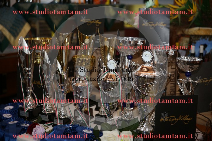 MAT_9391.JPG
