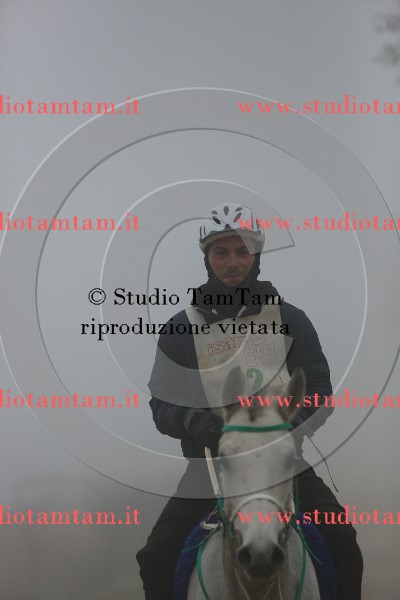 MAT_8939.JPG