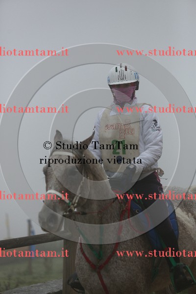 MAT_8940.JPG