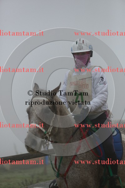 MAT_8941.JPG